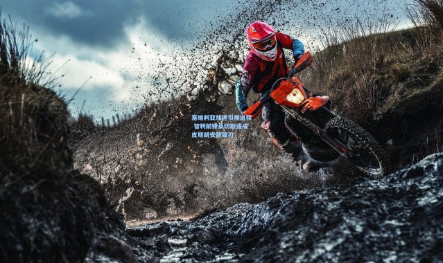 塞维利亚加速引援进程 智利前锋桑切斯或成皮斯胡安新锋刃