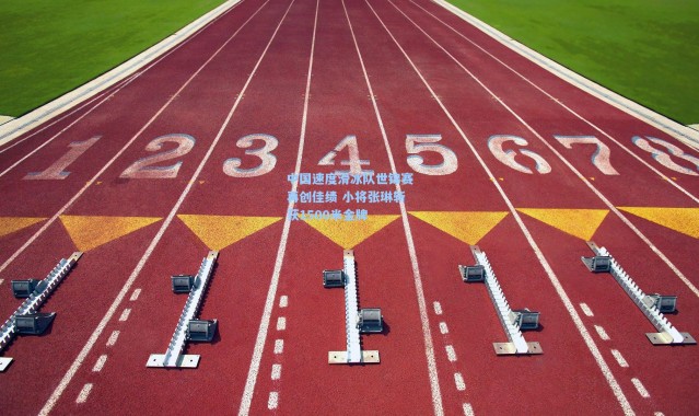 中国速度滑冰队世锦赛再创佳绩 小将张琳斩获1500米金牌